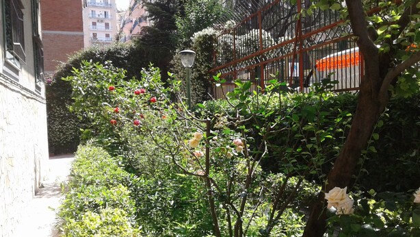 A narrow alley with dense greenery and a metal fence.