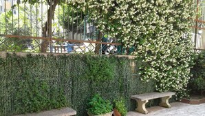 A paved outdoor area with stone benches and a wall covered in green foliage and white flowers.