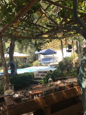 Property grounds - Room with independent bathroom inside our Villa in Zaro (Forio)