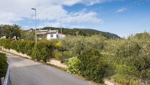 Uma estrada pavimentada com um muro de pedra, vegetação densa e um edifício com telhado de cerâmica ao fundo.