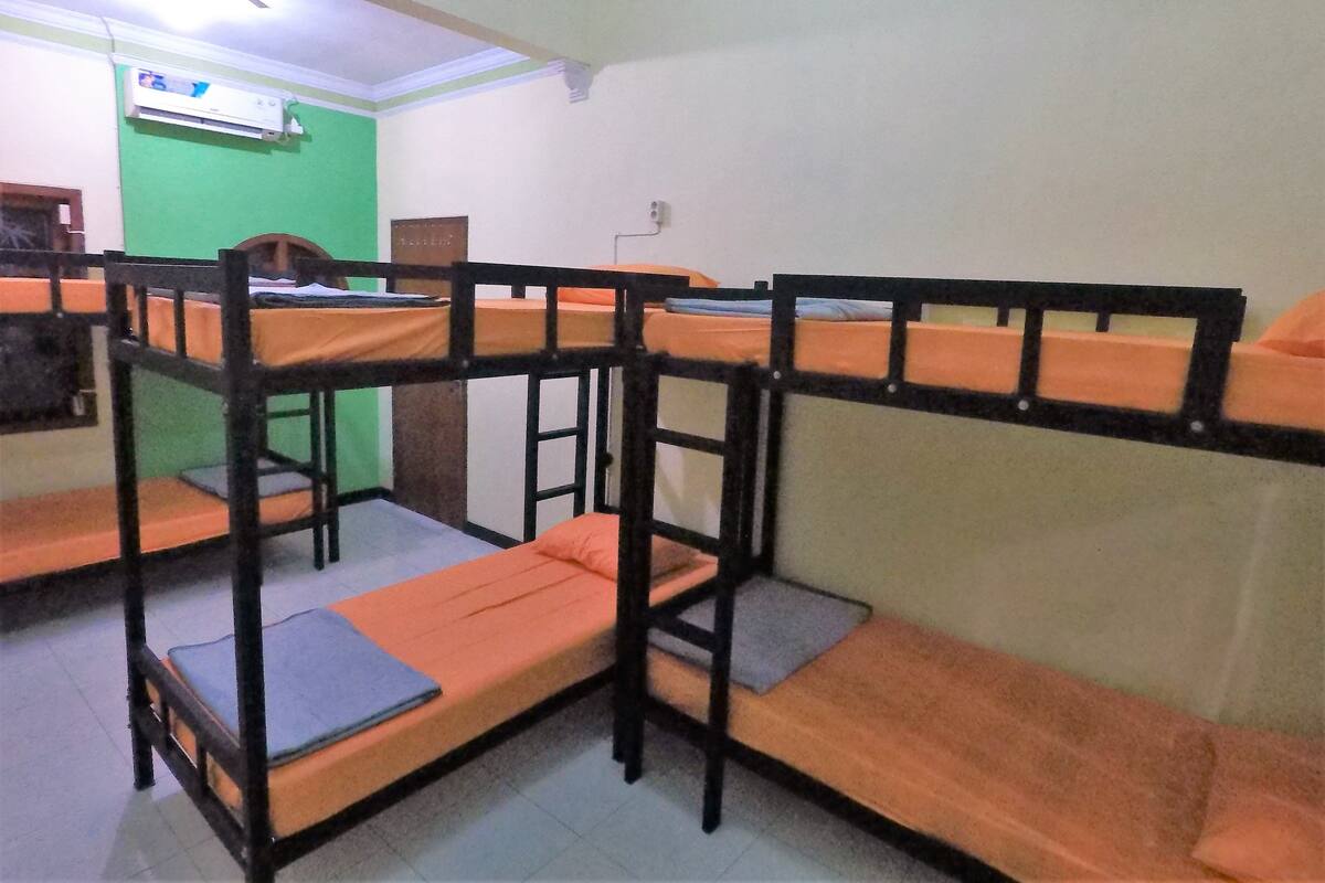 A dormitory room with bunk beds, a green wall, and a window.