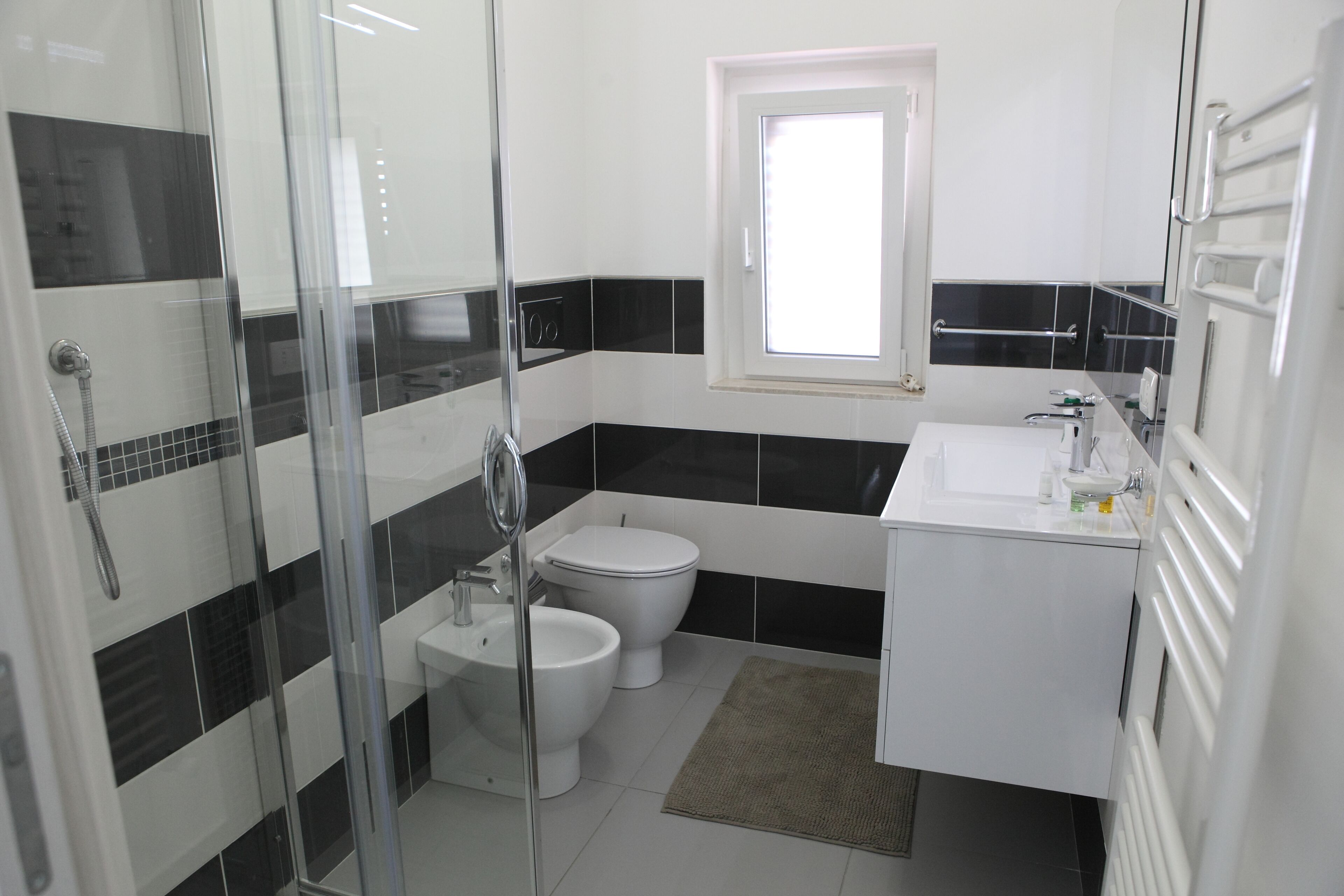 Shower, hair dryer, bidet, towels