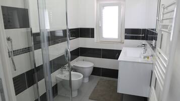 Shower, hair dryer, bidet, towels