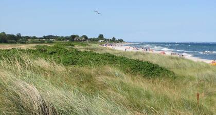 Cour de l'appartement - Ferienhof Börsby - Cour de l'appartement