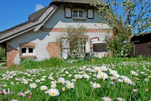 Detalle del exterior