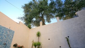 A courtyard with a tiled wall, a palm tree, and a lamp post. - Villa 22 ,beautiful villa with a gorgeous view on Boka bay (Herceg Novi)