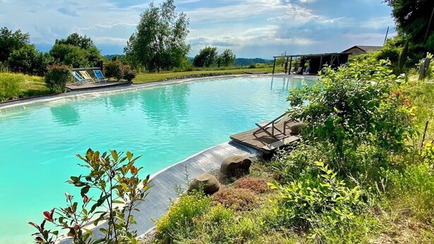 Piscina azul cristalina rodeada de follaje y una terraza de madera.