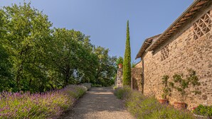 Ein Kiesweg führt zu einem Steinhaus mit Ziegeldach, umgeben von üppiger Vegetation und Lavendelpflanzen.