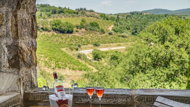 Ein Tisch mit einer Weinflasche und zwei Gläsern, mit Blick auf einen Weinberg.