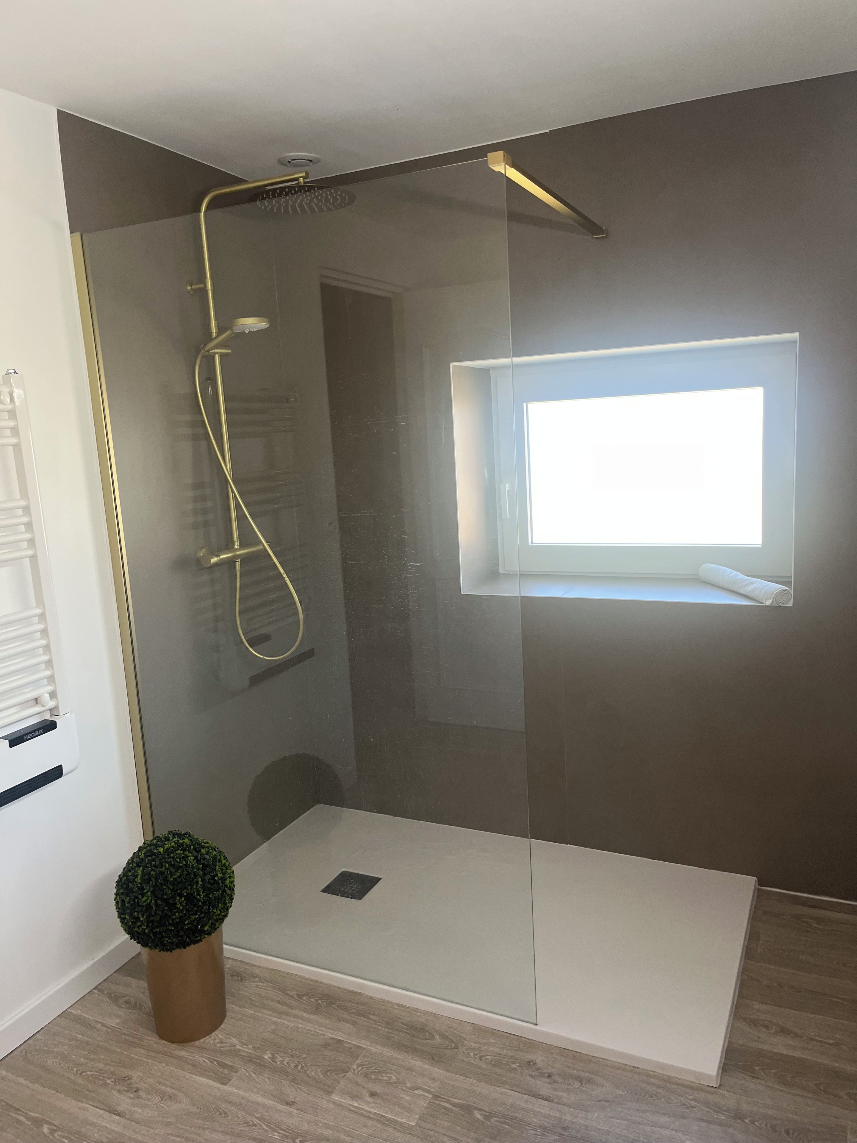 Une cabine de douche moderne avec une porte en verre, une petite plante en pot et une fenêtre laissant entrer la lumière naturelle.