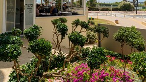 Front of property - 3BR Apt Steps from Sea W Parking (Herzliya)