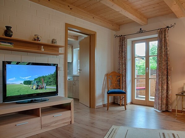 Flat-screen TV