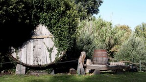 A rustic wooden structure with a barrel and rope barrier, surrounded by dense greenery. - Agriturismo Case Perrotta (Sant'Alfio)