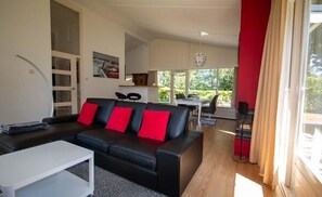 Télévision, cheminée, chaîne hi-fi