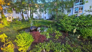 A garden with a pond, various plants, and a building in the background.