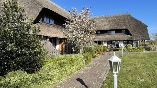 A traditional thatched-roof building with a paved pathway leading to it, surrounded by greenery.