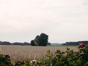 Uklassifisert bilde, 5 av 17, knapp