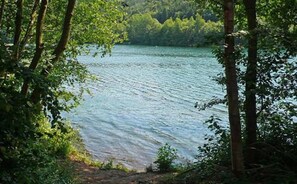 Unclassified image, 4 of 15, button