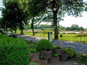 A landscaped area with pathways, trees, and a fenced field.