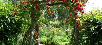 Caravan 5 rooms left - Caravan in the Wangelin garden with summer kitchen -