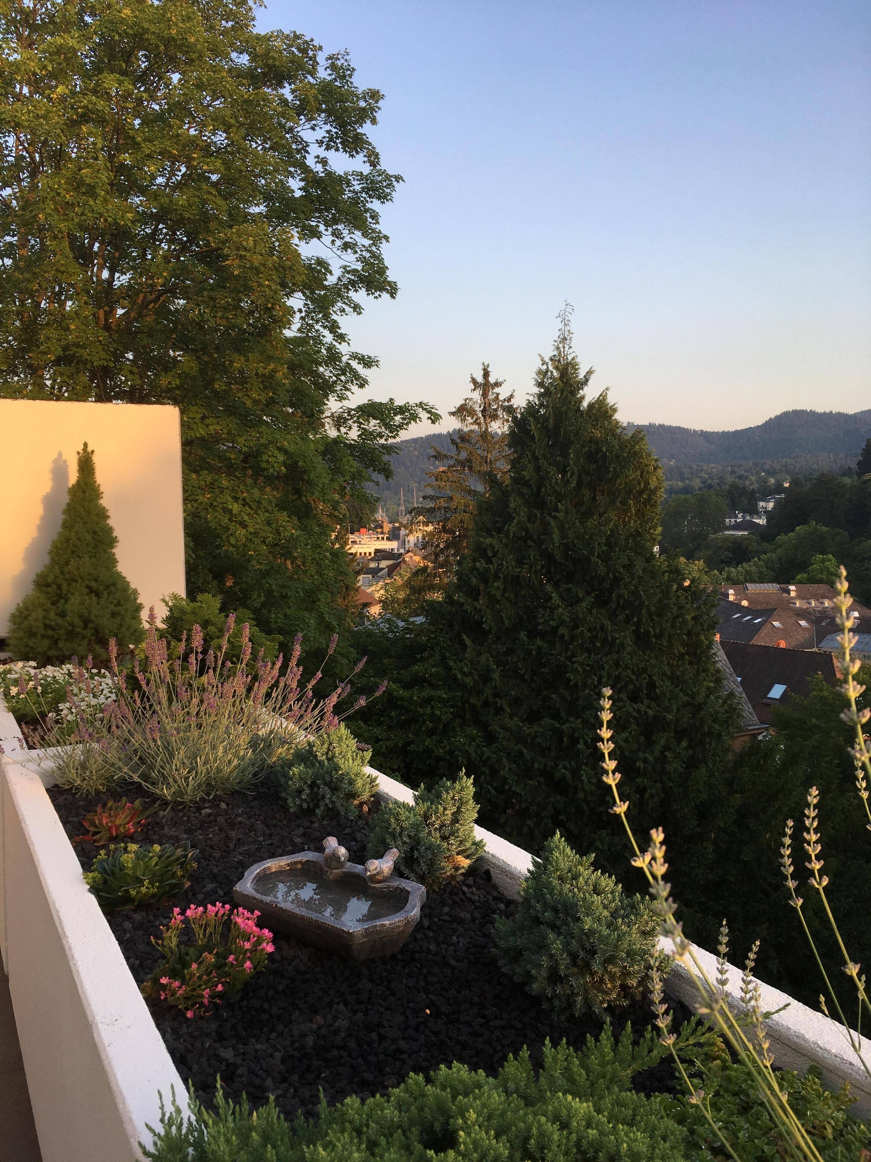 A garden with a water feature, various plants, and a view of a town in the distance.