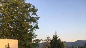 A garden with a water feature, various plants, and a view of a town in the distance. - Beautiful apartment in a dream location near the Festival Hall (Baden Baden)