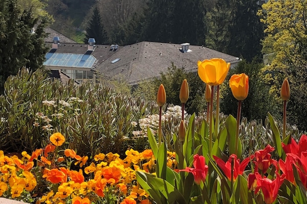 DĂ©tail de lâextĂ©rieur