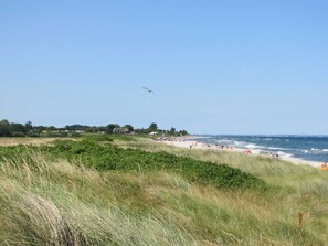 A coastal beach with grassy dunes, a clear sky, and a distant shoreline with buildings. - Apartment with garden view - Ferienhof Börsby - Apartment with garden view (Pommerby)