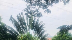 정원