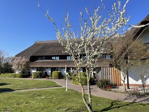 Exterior - 1-room apartment / No. 16 - 3*** Appartementhotel Mare Balticum GmbH & Co KG (Sagard)
