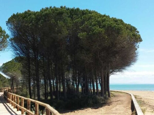 Perto da praia