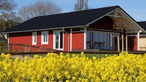 A red building with white trim and a black roof, surrounded by a field of yellow flowers.