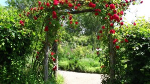 A garden pathway with a wooden archway covered in red flowers.