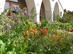 A garden with various plants and flowers in front of a building with arched windows. - Vacation room 3 - Guest house at the Wangeliner Garten (Buchberg)