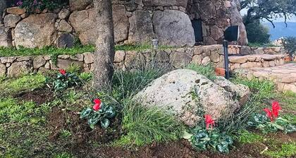 Il Nuraghe Del Lago Coghinas