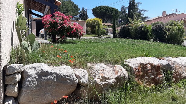 Um jardim com cactos, plantas floridas e um muro de pedra.