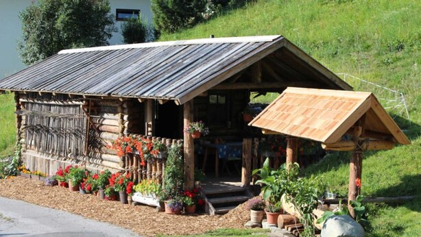 Un chalet rustique en rondins de bois, doté d’un porche en bois, et entouré de plantes et de fleurs en pot.