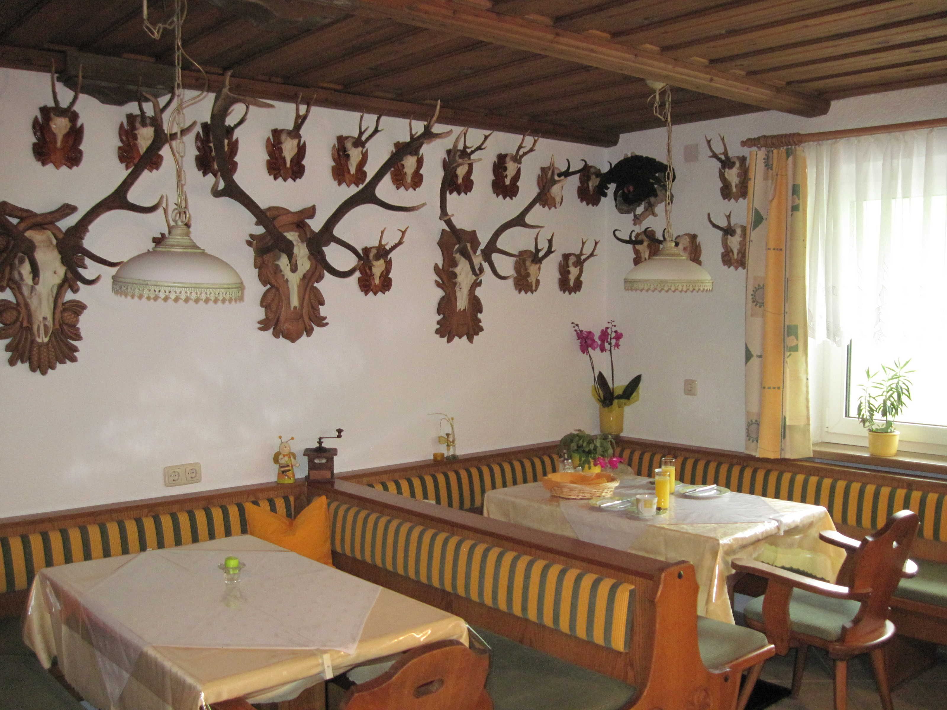 Un espace repas avec des bancs et des tables en bois, décoré de trophées de chasse aux murs et de lampes suspendues.