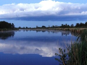 Oklassificerad bild, 5 av 17, knapp