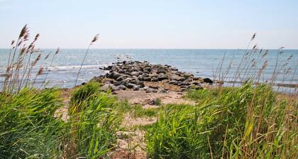 Apartment Reetdach - Apartments and rooms in Göhren