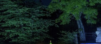 The Riverwood Forest Retreat - Pench