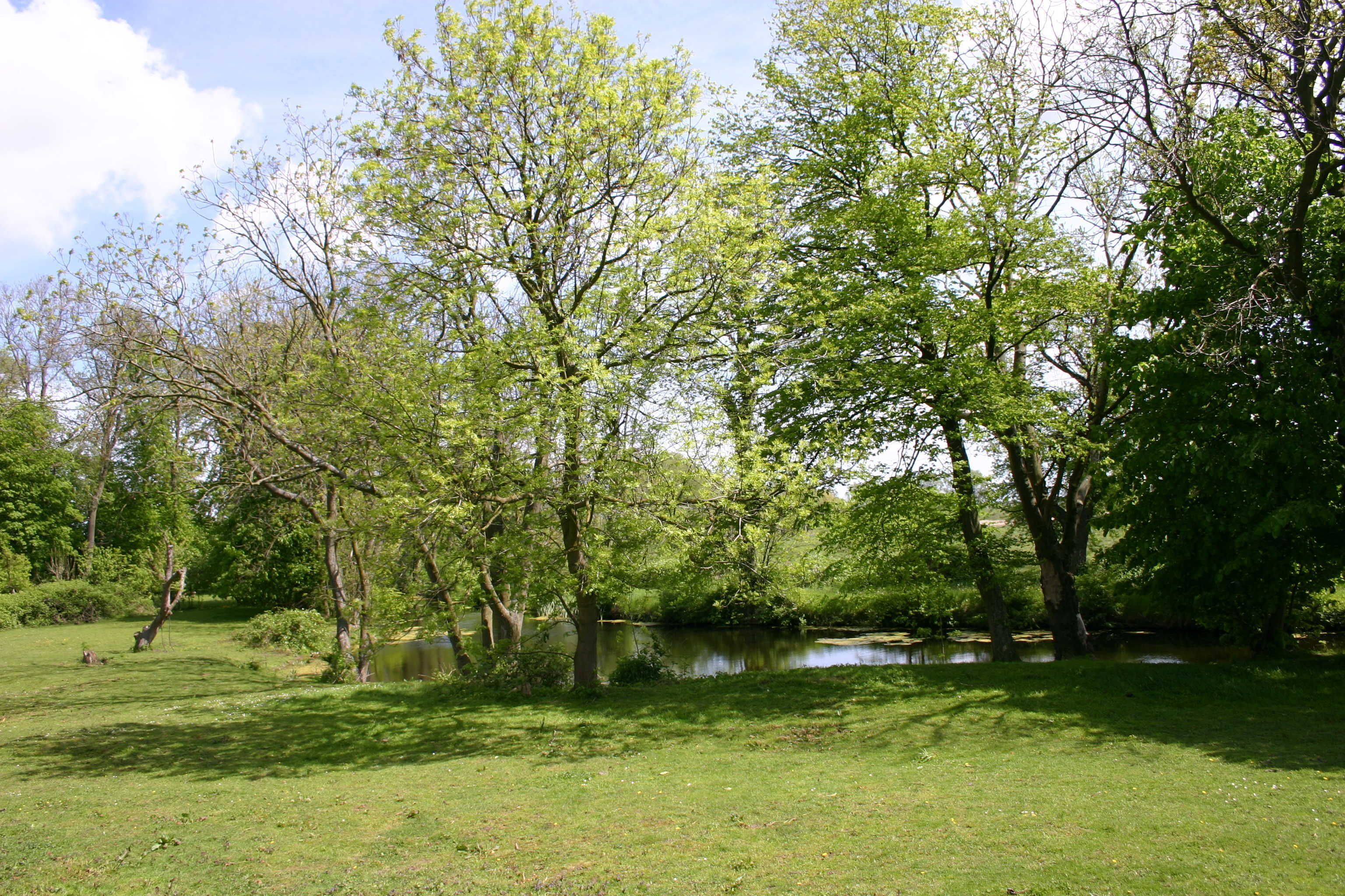منوع