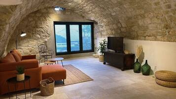 Smart TV, fireplace, books, stereo