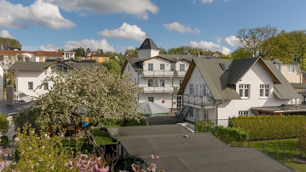 Ein Wohngebiet mit Häusern, einem Baum mit rosa Blüten und blauem Himmel.