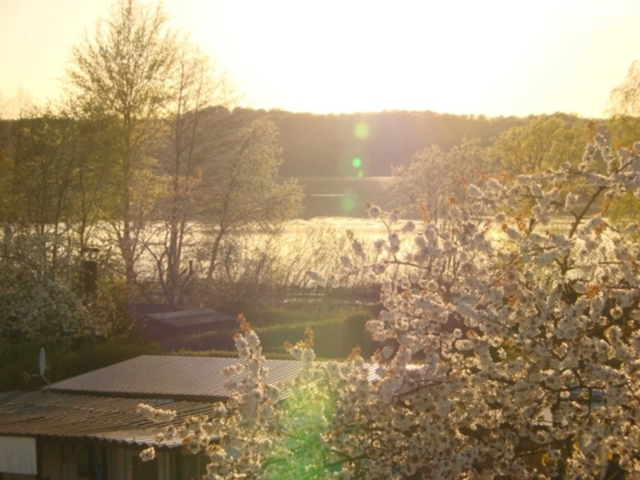 A rural landscape with a house, trees, and a field.