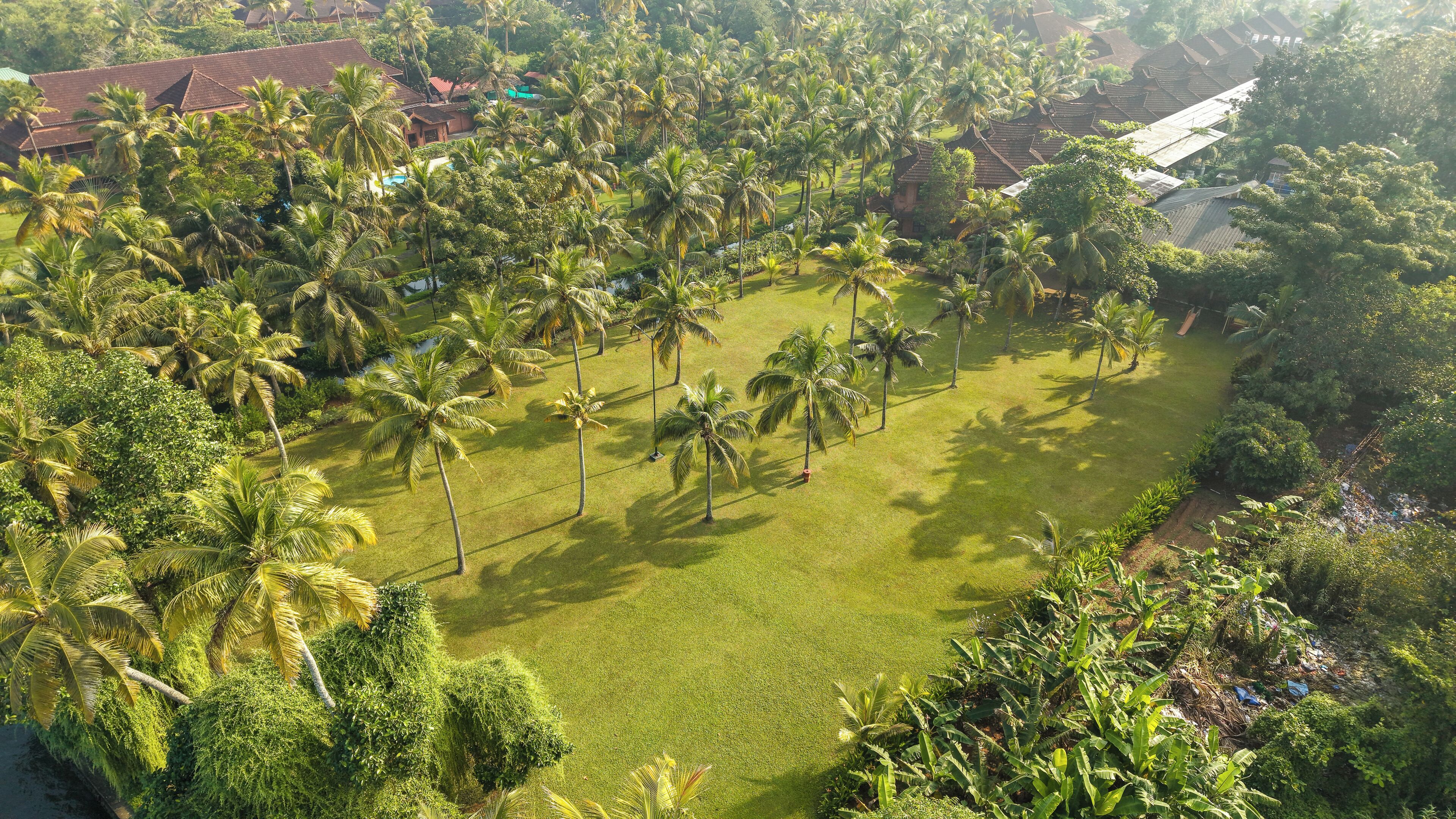 An aerial view of a residential area with numerous palm trees, houses with red roofs, and a well-maintained lawn.