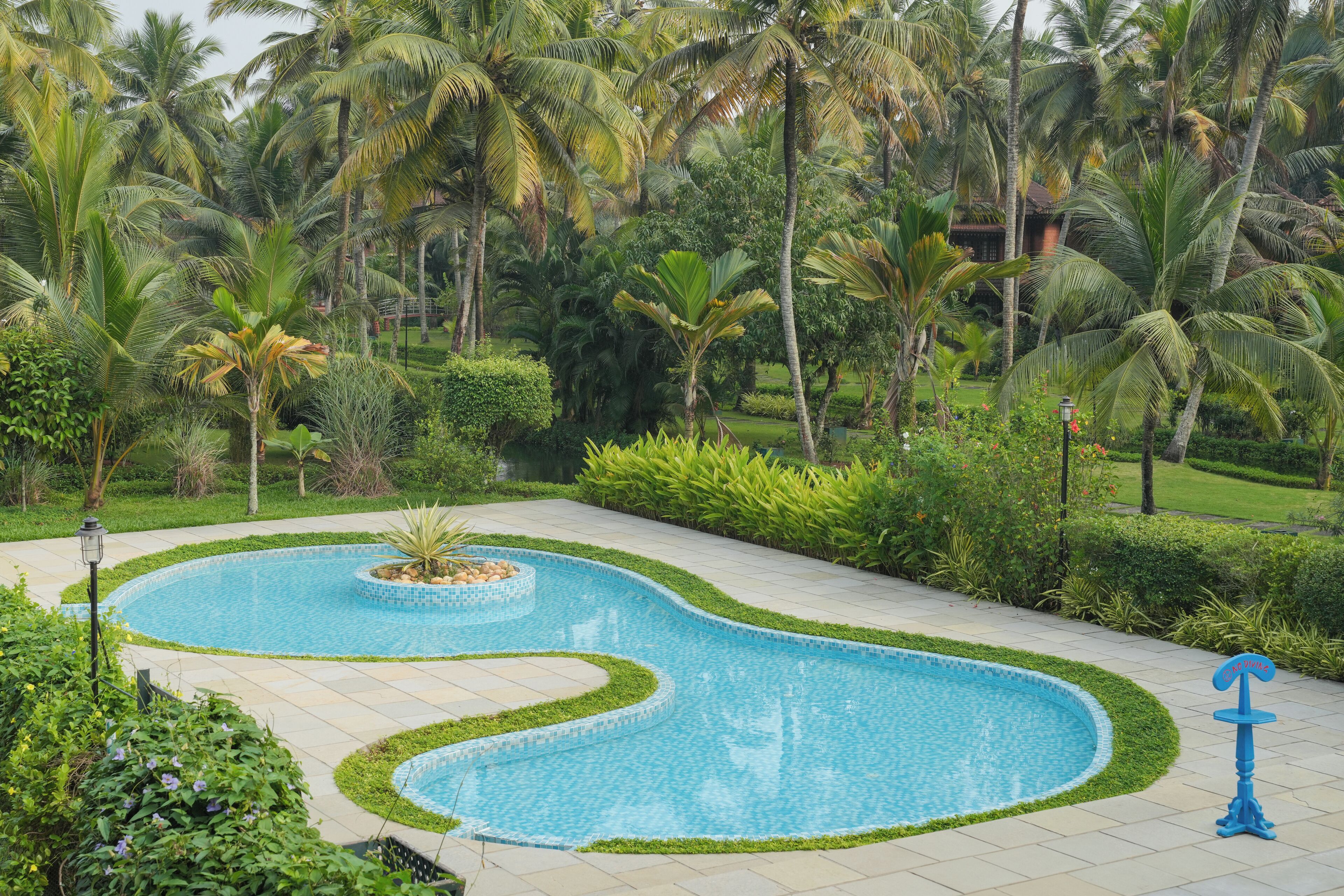 A swimming pool with a curved design, surrounded by lush greenery and palm trees.