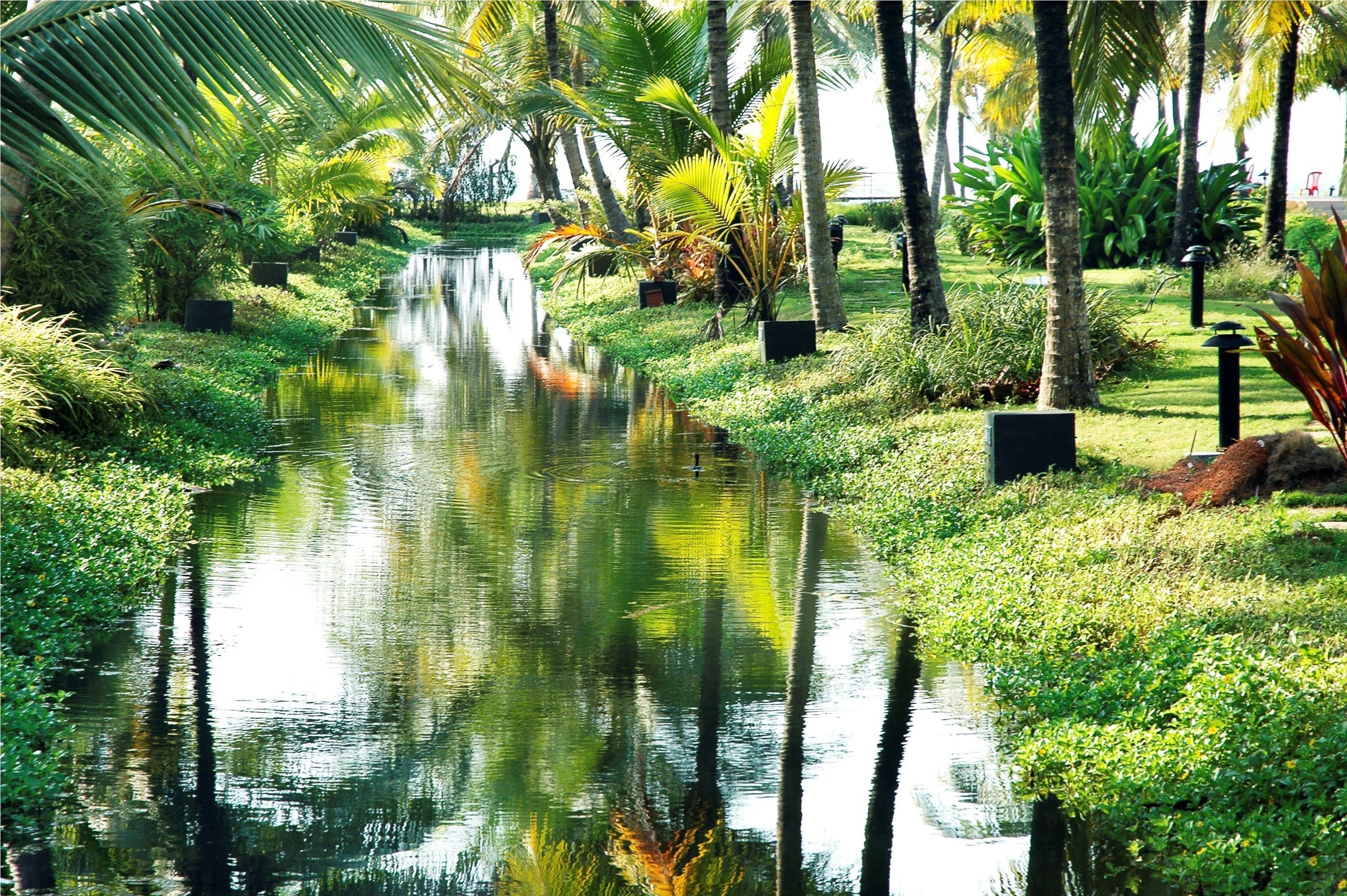 Un cours d’eau paisible, bordé d’une végétation luxuriante et de palmiers, où se reflète la nature environnante.