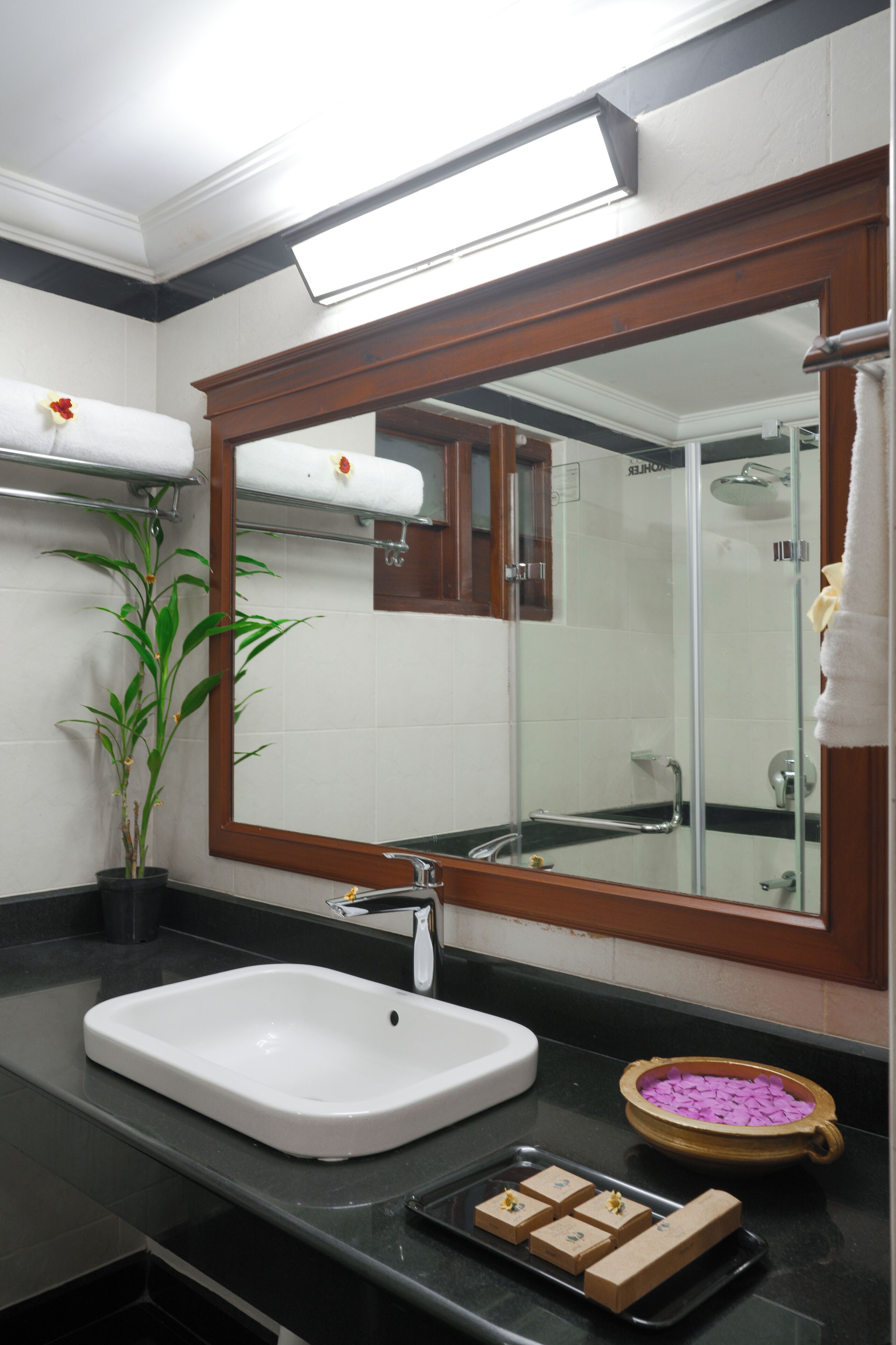 Un baño con un lavamanos blanco, un espejo grande, una planta de bambú y una pequeña bandeja con artículos de aseo.