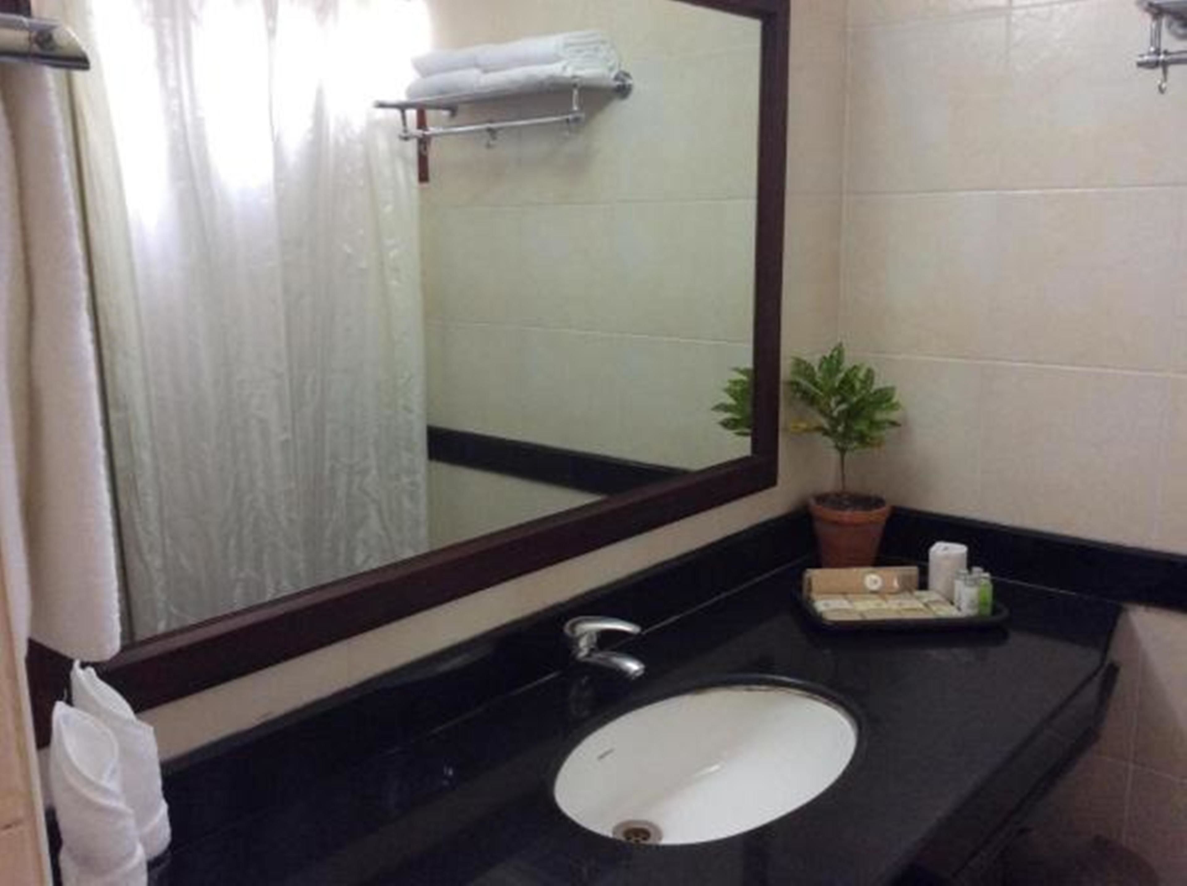 Un baño con un lavamanos negro, un espejo, un toallero, una planta en maceta y artículos de aseo.